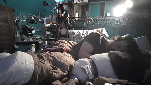 charactrzero লাইভ XXX চ্যাট