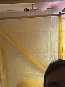 yangmang 网络视讯表演