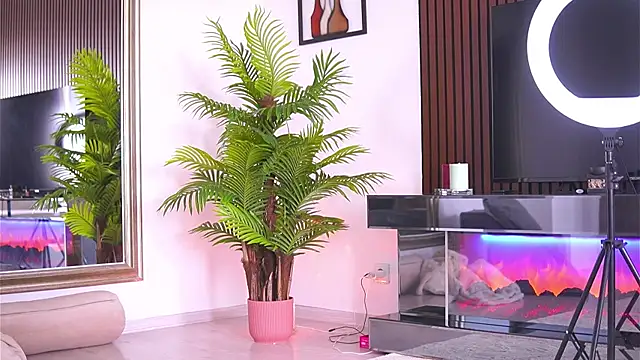 Abbela_White Live XXX-chat