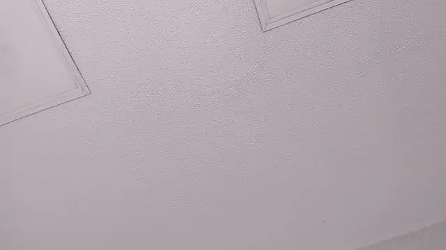 Tyler_durten Adlı Modelin Web Kamerası Şovu