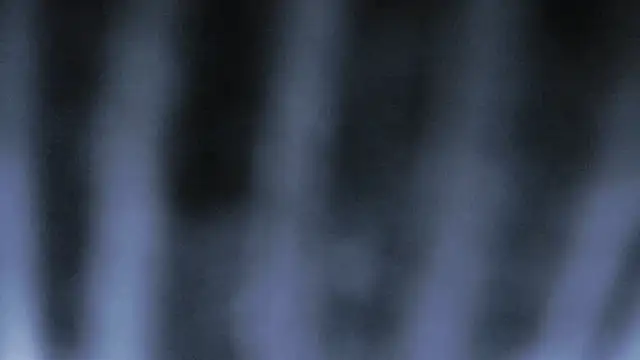 AulloraHoney 라이브 XXX 채팅