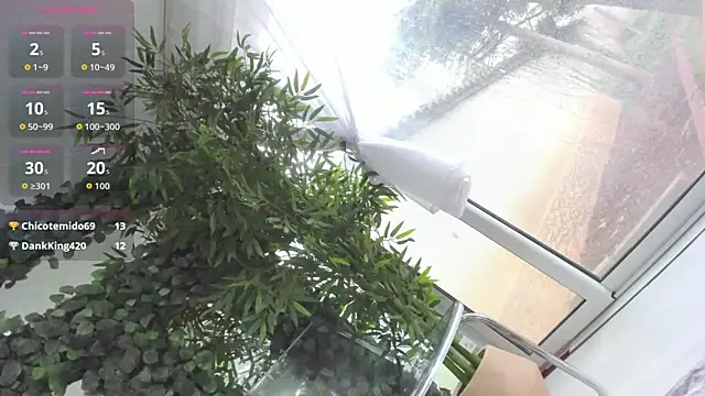 Lexi_Storm 现场XXX聊天