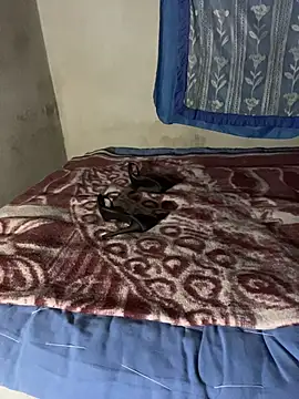 Chat XXX en directo de manuamador