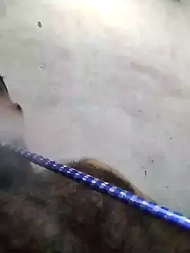 عرض كام salimbasha