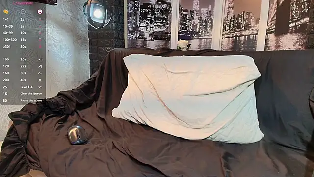 Show Webcam de toower_