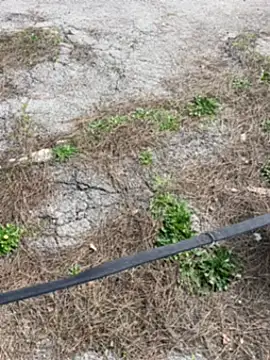 Show webcam de ANONIMO7735