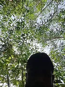 96Rohon's Webcam Show