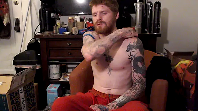 Show Webcam de Magnetic127