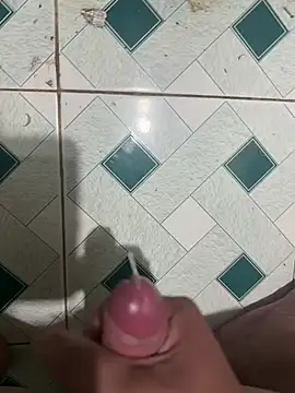 menvn15cm Show Webcam