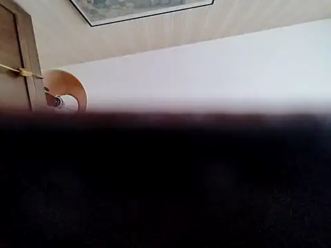 Perv10 网络视讯表演