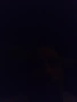 wesstfinen Webbikameraesitys