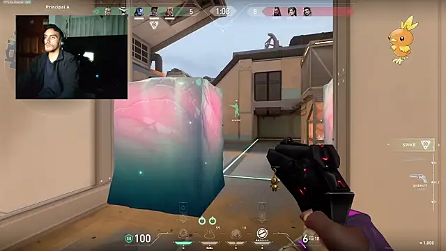 TommyMomentum Show Webcam