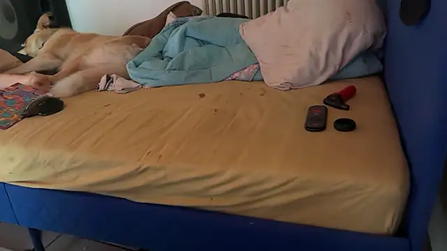 Damn_bro23 লাইভ XXX চ্যাট