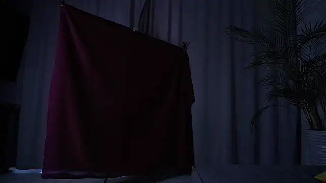 Chatroom XXX en direct de EdlinHargus