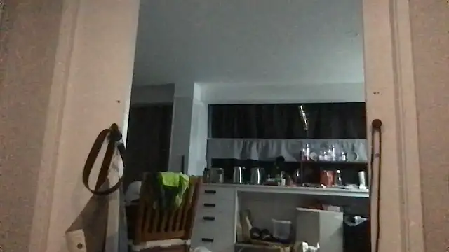 MrBombasticxxx: διαδικτυακό σόου στην κάμερα