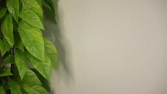 IleneDuryee's Live XXX Chat