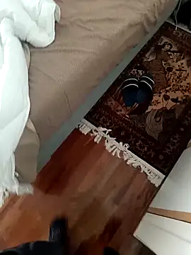 Pertunjukan Kamera Web vang8