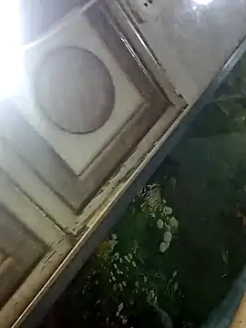 John_big345's Live XXX Chat