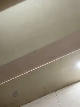 Liness101 在線直播表演