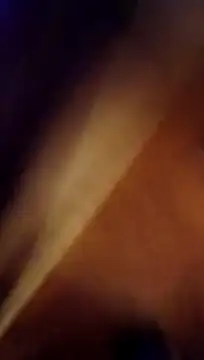 Pertunjukan Kamera Web cammyquart