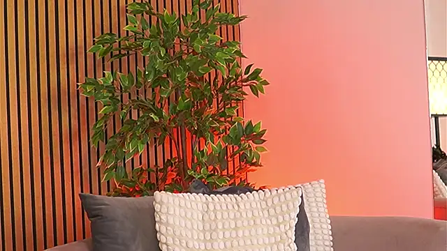 Chat XXX Live Avril_Cyrus