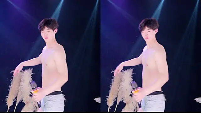 RJ-01 – webcam-show