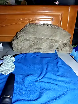 Živý XXX chat Zu_naa