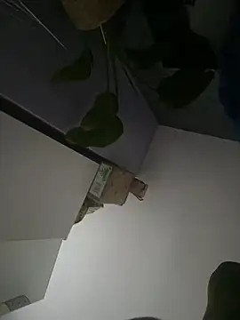 Show Webcam de bibigcockgraber