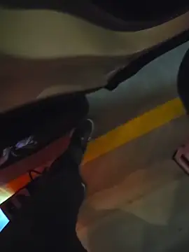 Midwest-exhibistionist webkamerás műsora