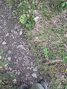 FreezingTie850 Webcam show