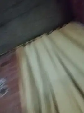 foxmarsh 网络视讯表演