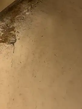 Webkamerová show ravirishi1122