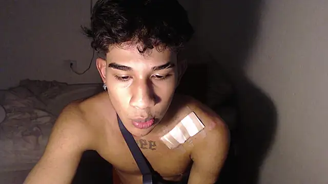 hares_mds 网络视讯表演