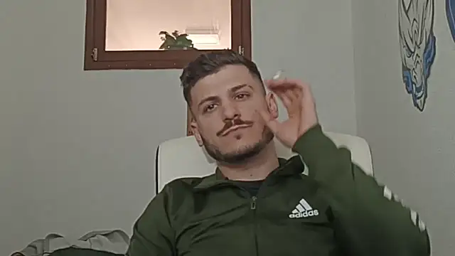 Casual_Mike Webcam Show