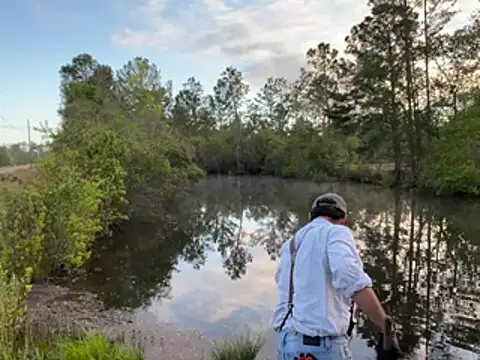 Countrypnp13's Live XXX Chat