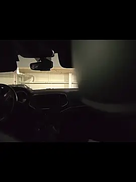 Midwest-exhibistionist: διαδικτυακό σόου στην κάμερα