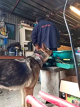 โชว์เว็บแคมของ sarpe4