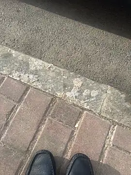 tanhua002 在線直播表演