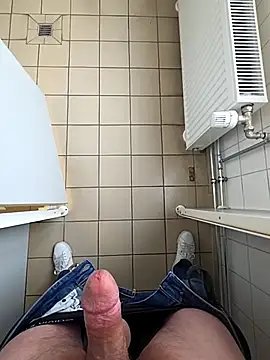 zibidy744 Webcamshow