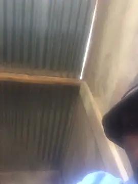 Show de DWildB na webcam