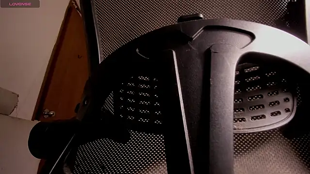 Show webcam de s_sven03