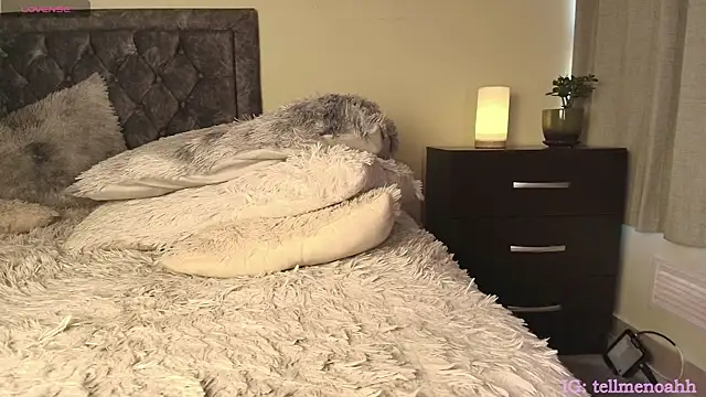 Chatroom XXX en direct de Hairyparadise