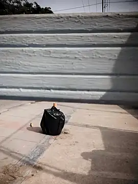 Pokazy przed kamerką – Brenda_Berck_