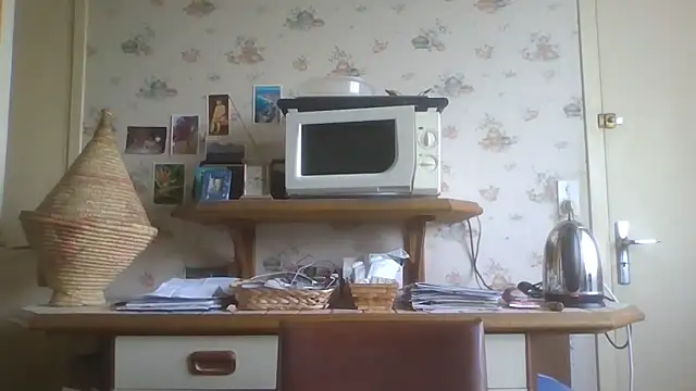 gegevincent5's Webcam Show