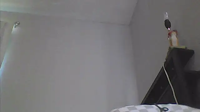 Chat XXX ao vivo de sarahkat86