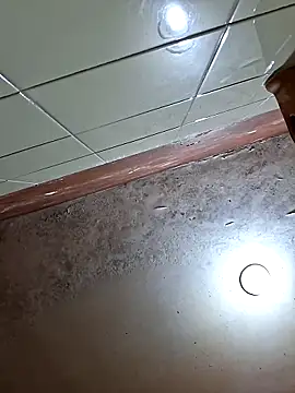 Paizinhomau Webcam-Show