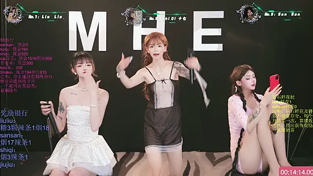 Show webcam de MHe-002