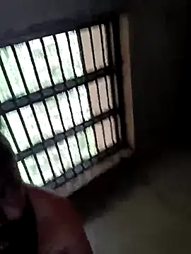 WholeAltimeter25のウェブカメラショー