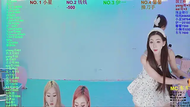 ZZ00033S Show Webcam