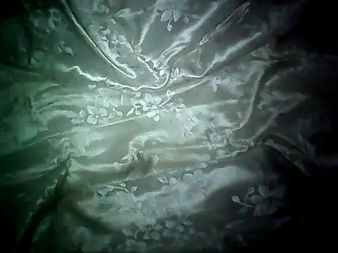 Show de webcam de 20cmloiro